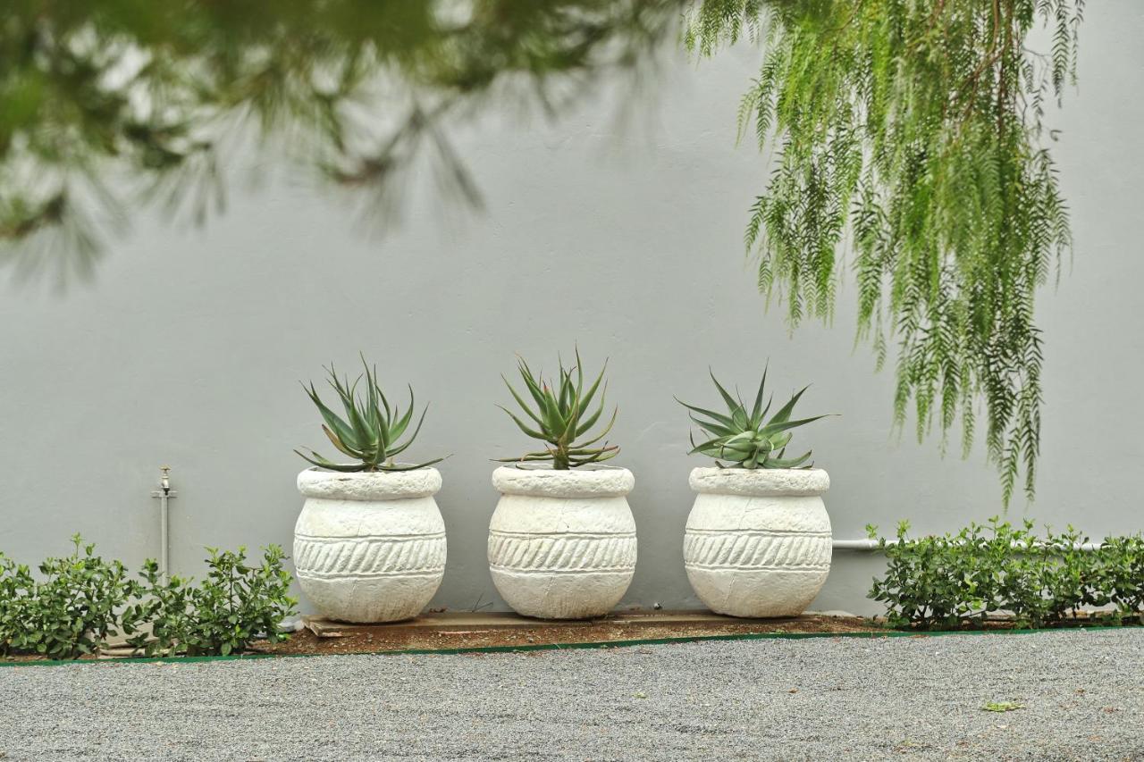 Апартаменты The Fancy Cactus Колсберг Экстерьер фото
